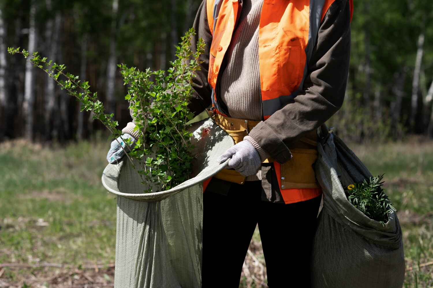 Best Tree Clearing Services  in Marlene Village, OR